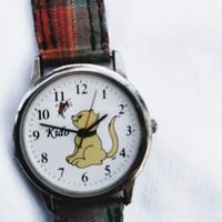 Orologio per bambini con gatto