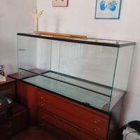 teca vetro serpente o altri animali 