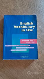 English vocabulary in use