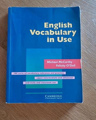 English vocabulary in use