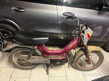 Motorino Califfone rizzato