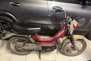 Motorino Califfone rizzato