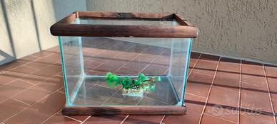 piccolo acquario 