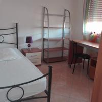 Camera singola vicino facoltà medicina