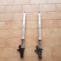 FORCELLA HONDA CBR 929 954