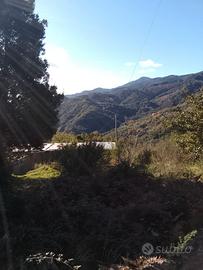 TERRENO,CASA,DEPOSITO, ACQUA,LUCE