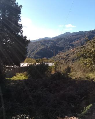 TERRENO,CASA,DEPOSITO, ACQUA,LUCE