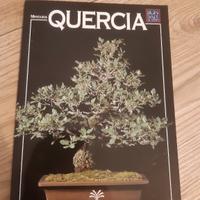 Libro miniguida crespi bonsai Quercia