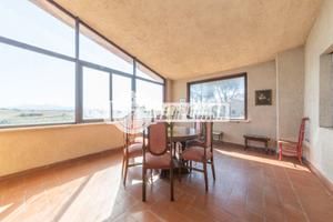 bifamiliare con giardino privato - Colle dei Pini