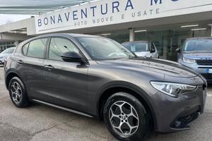 Alfa Romeo Stelvio 2.2 Turbodiesel 160 CV AT8 RWD 