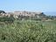 Immagine 15