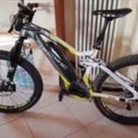 ebike