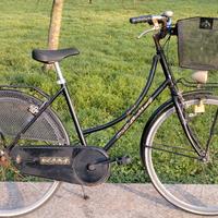 Delma Olandesina 26 pollici