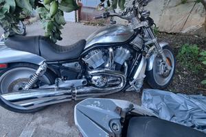 Harley-Davidson VRSCX - 2004