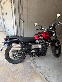 Triumph scrambler 900