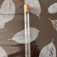 Ampolla provetta in vetro