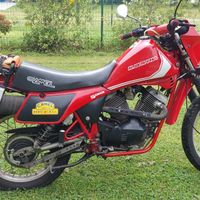 Moto Morini 500 Camel