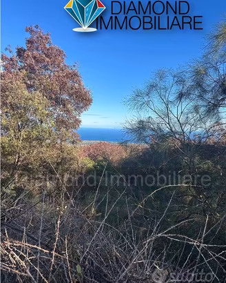 Terreno agricolo con casotto Fleri-Zafferana Etnea