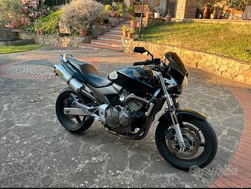 Hornet 600