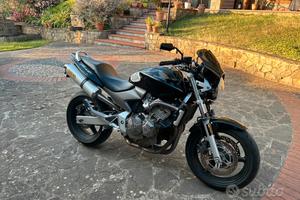 Hornet 600