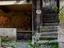 Immagine 9
