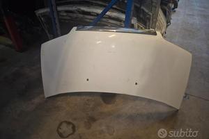 Cofano Motore Anteriore Per Hyundai H1 - H100 2003