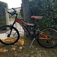 Bicicletta per ragazzo