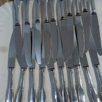 Vari set coltelli ristorazione