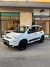 fiat-panda-1-3-mjt-95-cv-s-s-4x4