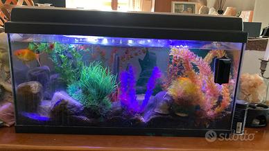 Acquario da 80 litri e accessori