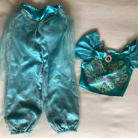 Costume carnevale Jasmine