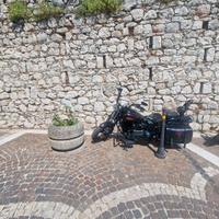 Harley davidson cross bones