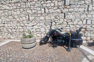 Harley davidson cross bones