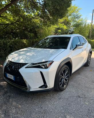 Lexus UX 250h 4wd luxury