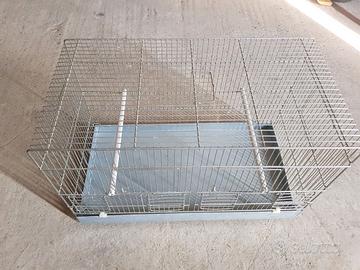 Gabbie x uccelli 