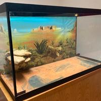 terrario/acquario
