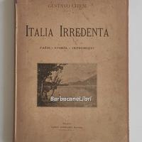 Chiesi Italia irredenta Trento Trieste Istria 1889