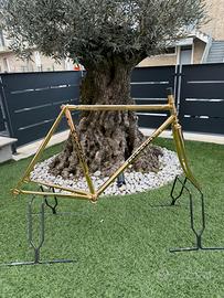 TELAIO COLNAGO ESAMEXICO GOLD 53x52