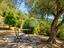 Immagine 29