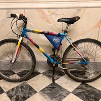 Montain Bike Poli taglia 26