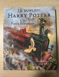Harry potter e la pietra filosofale