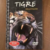 DVD tigre