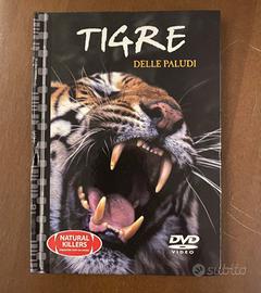 DVD tigre