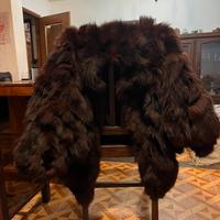 Pellicciotto di Visone