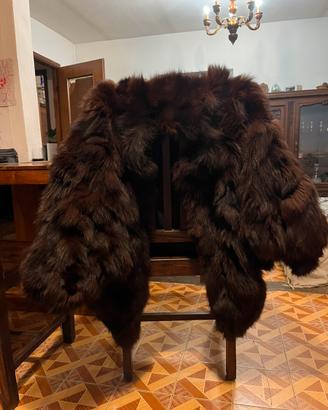 Pellicciotto di Visone