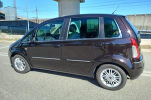 LANCIA MUSA ECO CHIC