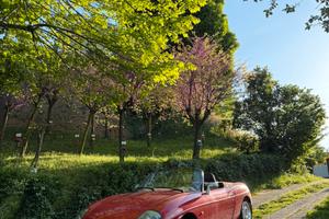 Fiat barchetta NAXOS