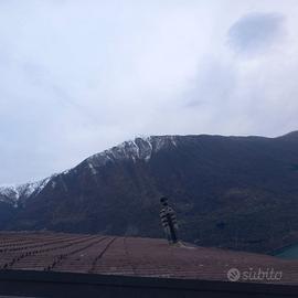 tegole casa