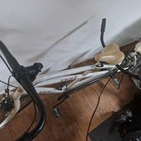 bici tandem