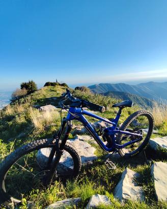 Trek Slash 8 gen 5 2023 Taglia L (TELAIO)